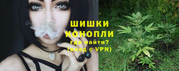 спиды Заводоуковск