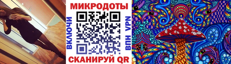Купить  Красногорск  Галлюциногенные грибы Psilocybe 