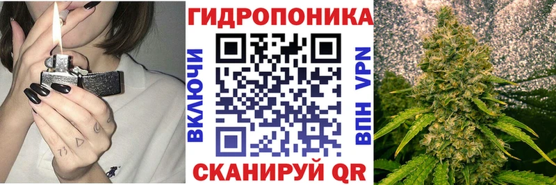 Бошки Шишки гибрид  Купить где  Красногорск 